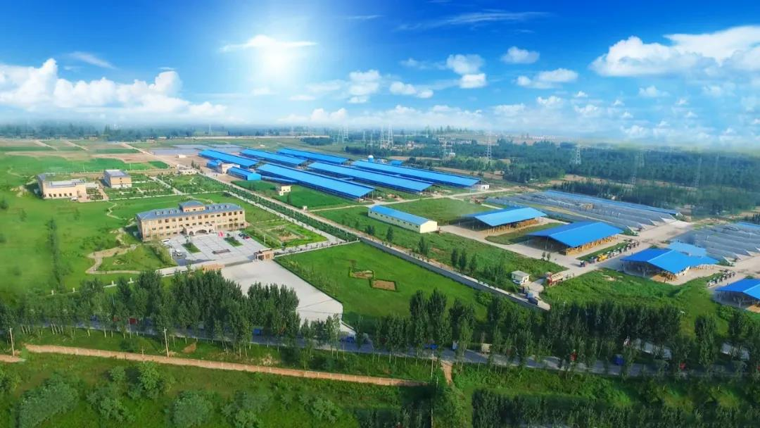 花花牛丨河南農業大學黨委副書記、校長介曉磊一行蒞臨花花牛河南瑞亞參觀調研 花花牛丨河南農業大學黨委副書記、校長介曉磊一行蒞臨花花牛河南瑞亞參觀調研