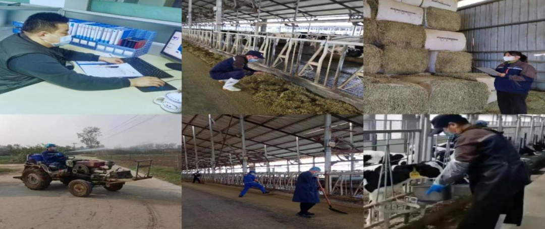 @全體花花牛人：請(qǐng)珍惜你的崗位，請(qǐng)善待我們共同的“花花牛”！