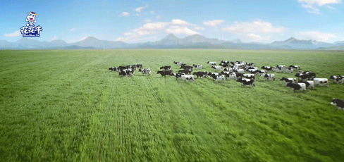 快訊 | 2020河南民營企業100強發布 花花牛榮獲“河南民營企業現代農業100強”、“河南民營企業社會責任100強”雙榮譽 快訊 | 2020河南民營企業100強發布 花花牛榮獲“河南民營企業現代農業100強”、“河南民營企業社會責任100強”雙榮譽