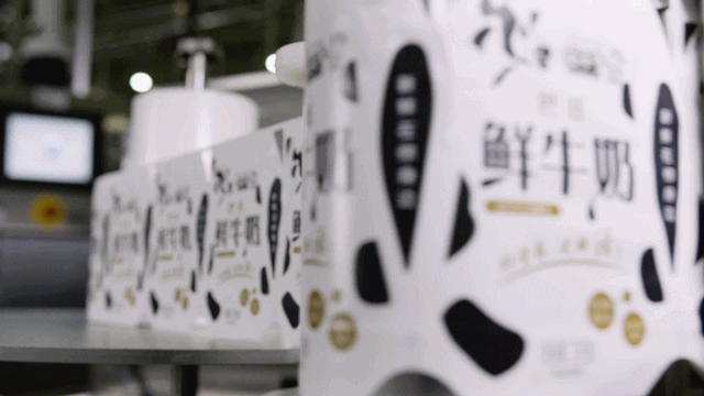 快訊 | 長江商學(xué)院智能制造學(xué)會走進(jìn)花花牛乳業(yè)集團(tuán) 快訊 | 長江商學(xué)院智能制造學(xué)會走進(jìn)花花牛乳業(yè)集團(tuán)