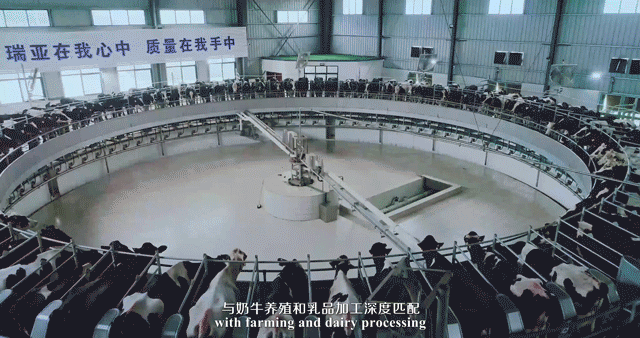 快訊 | 河南省委常委、省紀(jì)委書(shū)記、省監(jiān)委主任任正曉蒞臨花花牛乳業(yè)集團(tuán)新蔡瑞亞牧場(chǎng)調(diào)研 快訊 | 河南省委常委、省紀(jì)委書(shū)記、省監(jiān)委主任任正曉蒞臨花花牛乳業(yè)集團(tuán)新蔡瑞亞牧場(chǎng)調(diào)研