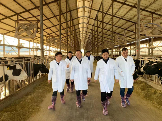 寧夏回族自治區農業農村廳黨組書記、廳長王剛一行蒞臨花花牛乳業集團調研 寧夏回族自治區農業農村廳黨組書記、廳長王剛一行蒞臨花花牛乳業集團調研