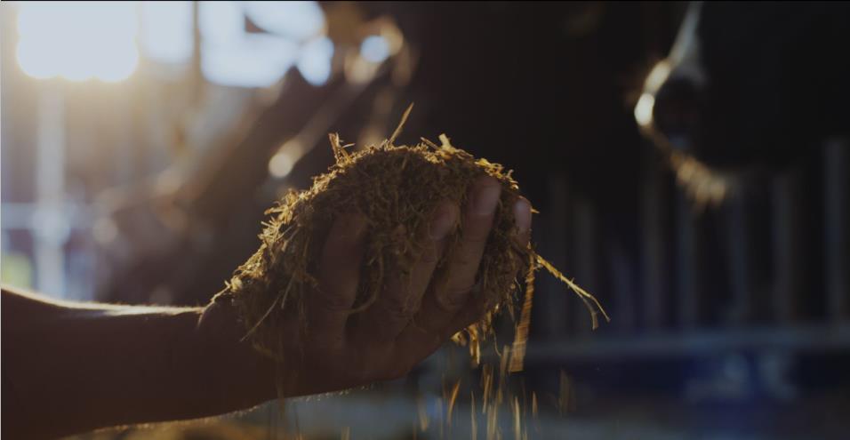 又雙叒叕獲獎啦！花花牛榮獲“乳品質(zhì)量安全管理 優(yōu)秀企業(yè)”