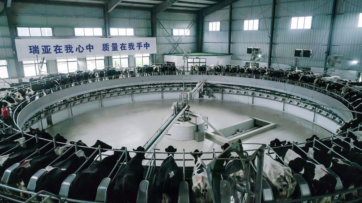 又雙叒叕獲獎啦！花花牛榮獲“乳品質(zhì)量安全管理 優(yōu)秀企業(yè)”