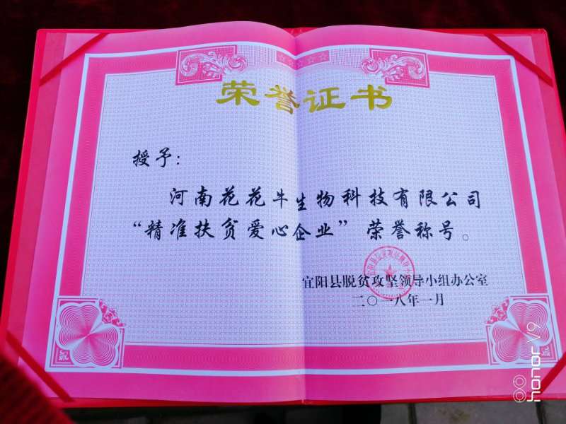 關(guān)愛成長(zhǎng) 相伴未來(lái)——精準(zhǔn)扶貧“暖冬公益行”走進(jìn)宜陽(yáng)縣白楊鎮(zhèn)