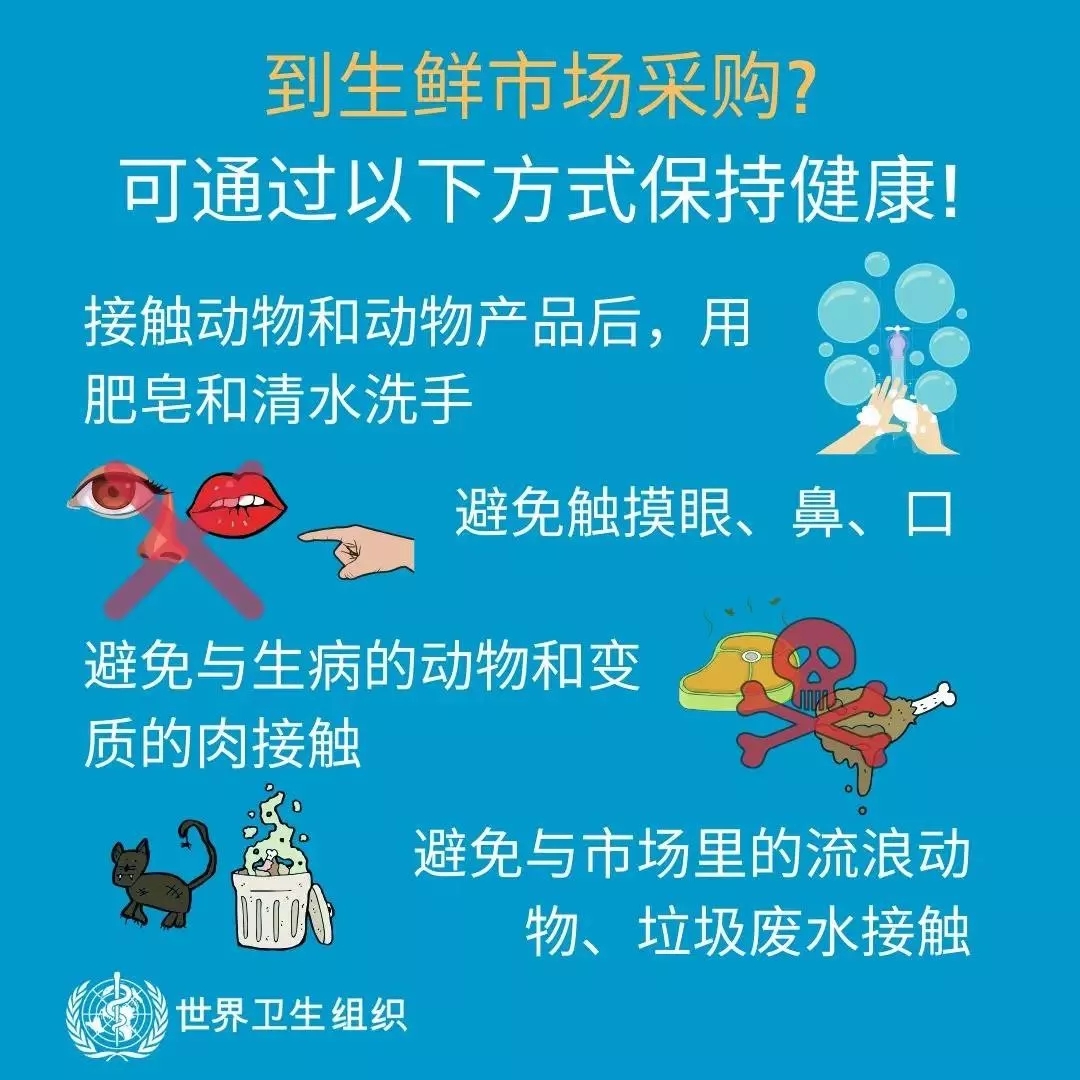 花花牛 | 共克時艱、遏制疫情,請相信國家力量! 花花牛 | 共克時艱、遏制疫情,請相信國家力量!