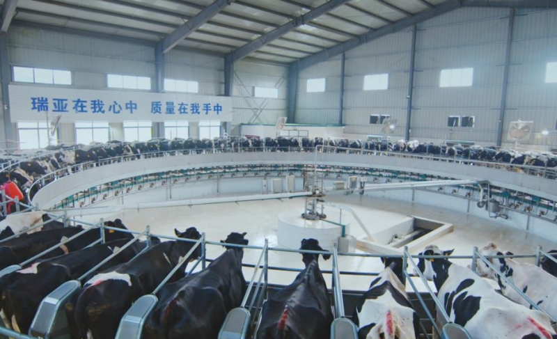 扶溝瑞亞牧業(yè)有限公司年存欄6000頭奶牛養(yǎng)殖建設(shè)項(xiàng)目 環(huán)境影響評價公眾參與第二次公示