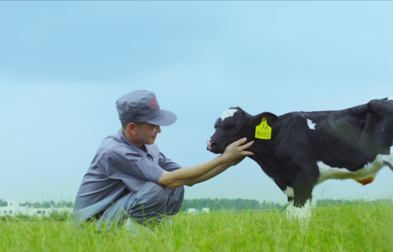 葉縣瑞亞牧業(yè)有限公司 年存欄5000頭奶牛一期存欄3000頭奶牛建設(shè)項(xiàng)目 環(huán)境影響評價公眾參與第二次